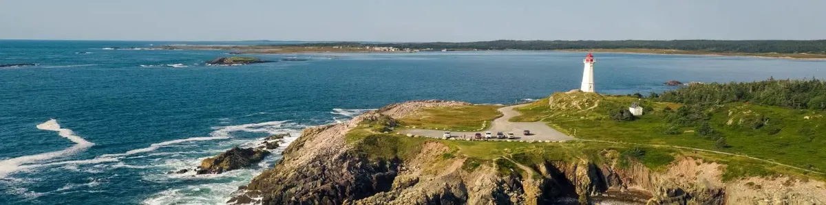 CANSEE December Newsletter: SAVE THE DATE announcement